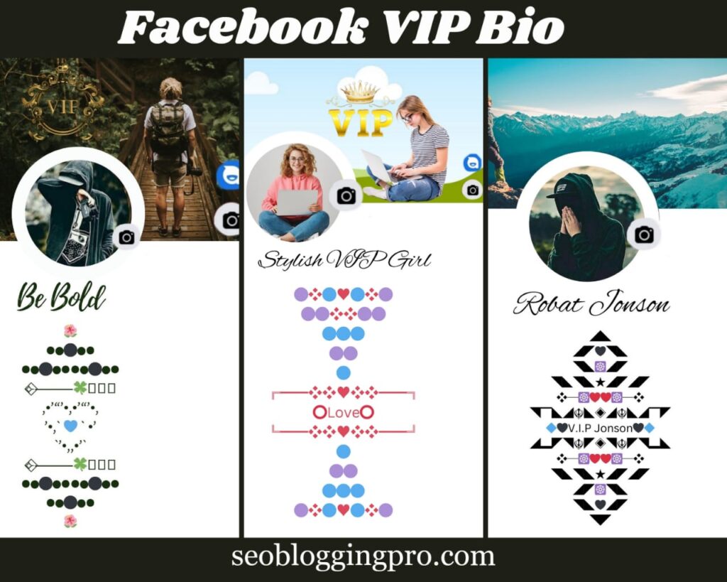 FB VIP bio